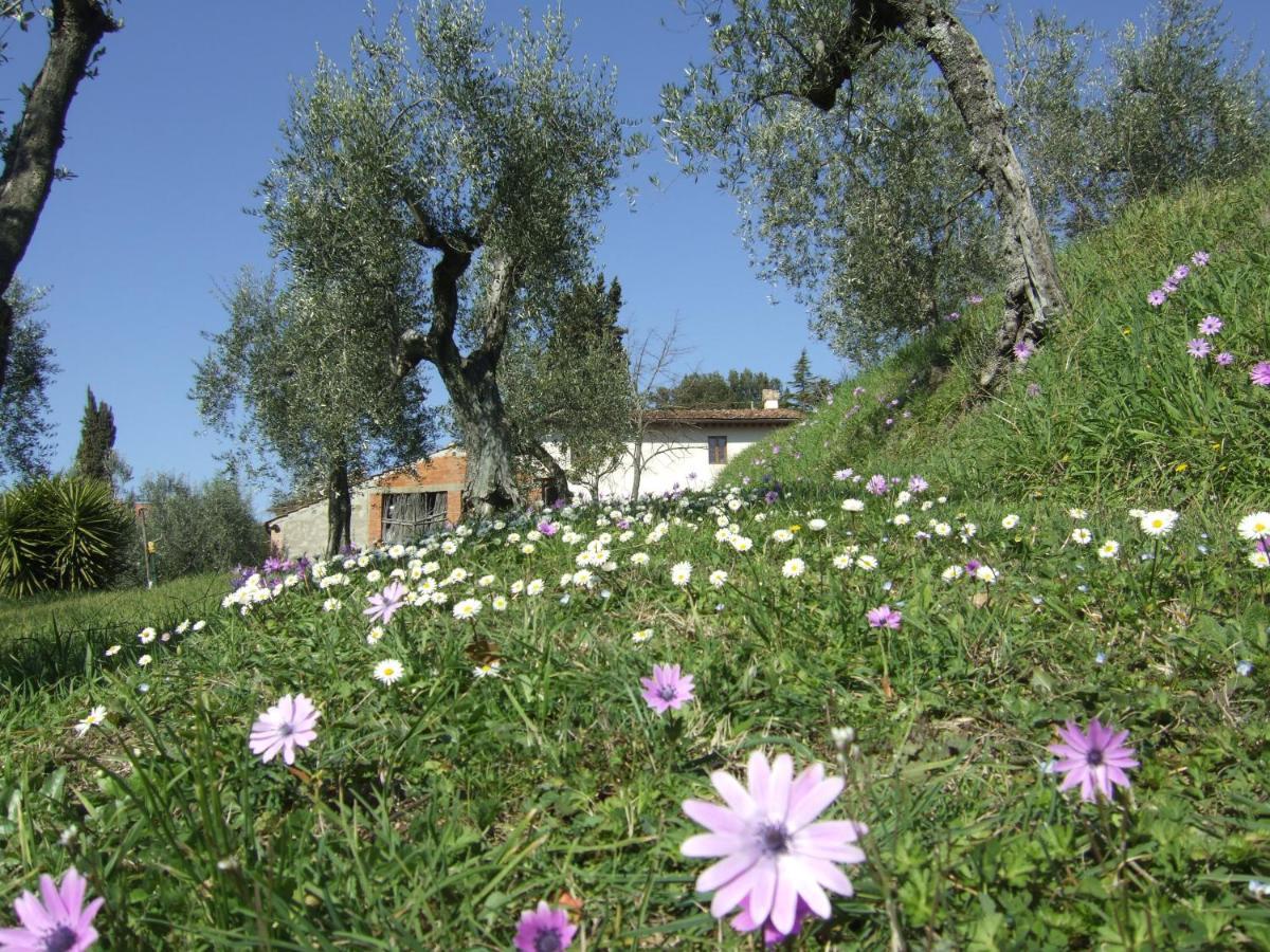 كارمينيانو Podere Sanlorenzo المظهر الخارجي الصورة